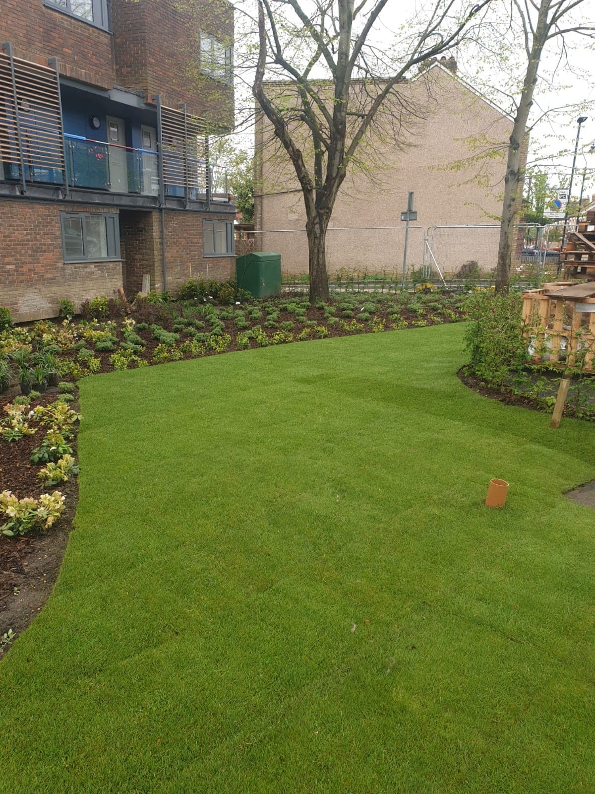 Planting scheme installed on a commercial landscaping project