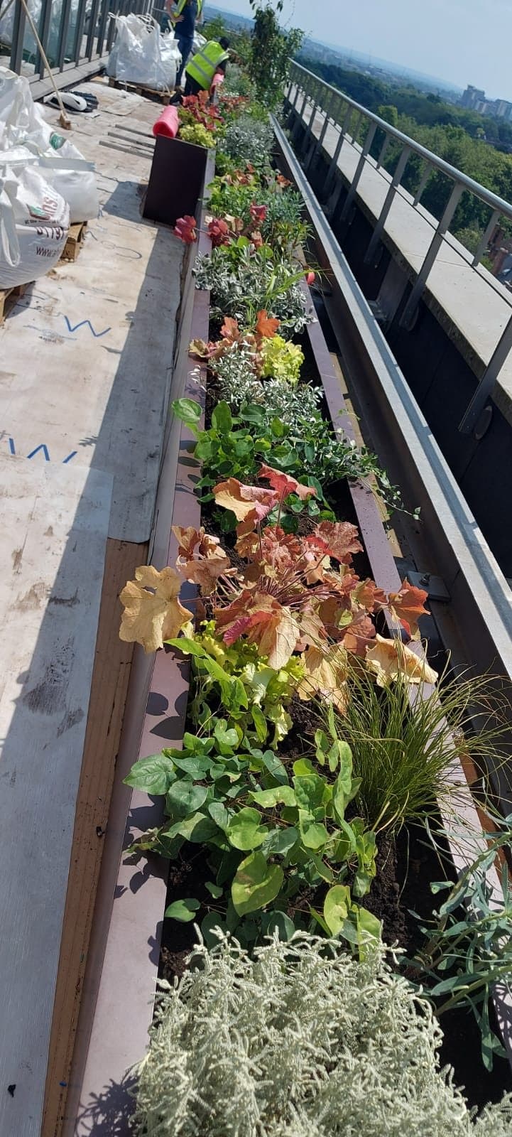 Commercial soft landscaping project in Hertfordshire