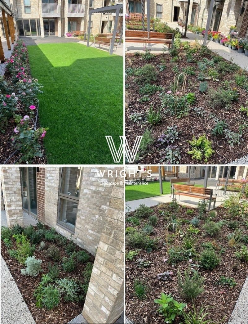 Landscaping to communal areas on a housebuilder development