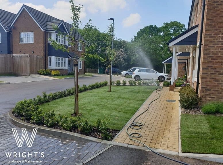 Turfed lawn and planted borders on a completed development