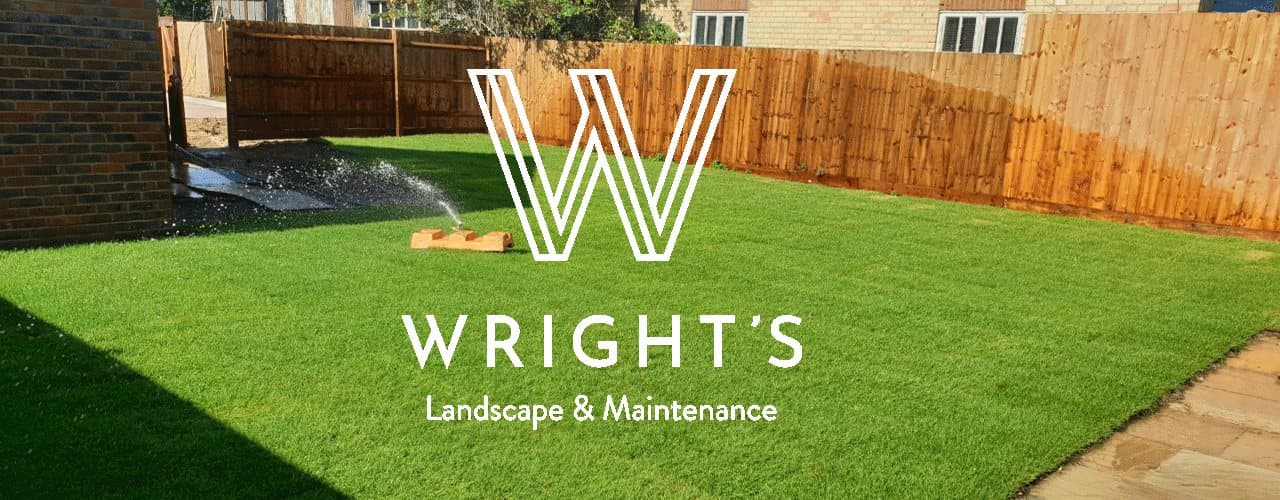 Newly laid commercial turf on a Wrights Landscapes project